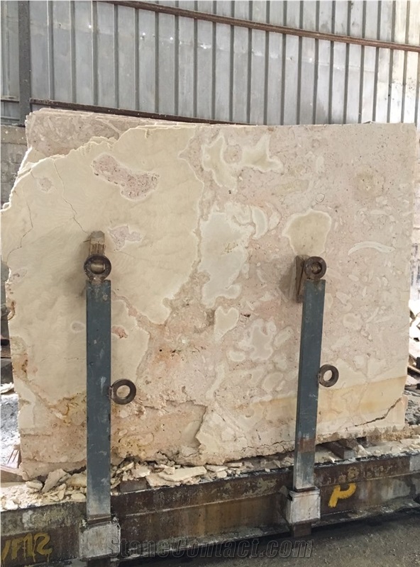 Dominican Coral Stone Saw Cut Tiles, Slabs