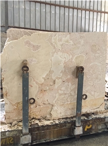 Dominican Coral Stone Saw Cut Tiles, Slabs