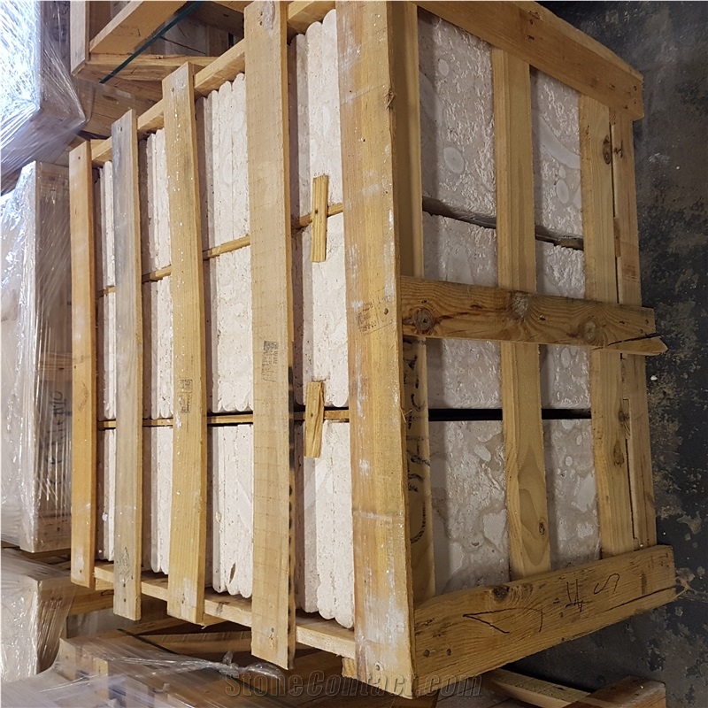 Dominican Coral Stone Saw Cut Tiles, Slabs