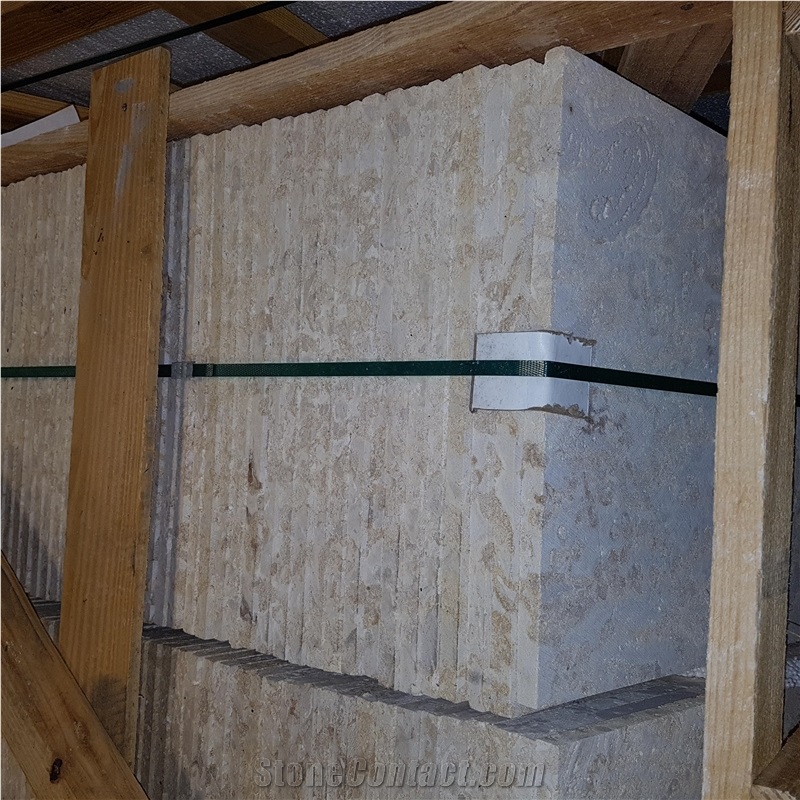 Dominican Coral Stone Saw Cut Tiles, Slabs