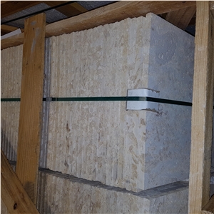 Dominican Coral Stone Saw Cut Tiles, Slabs