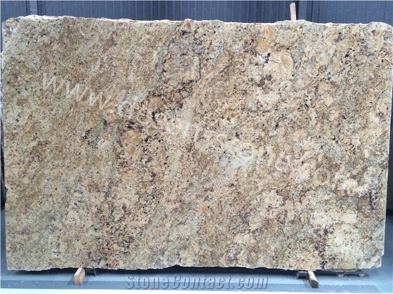 Cream Persa/Granito Giallo Palmeiras/Exotic Granite Stone Slabs/Tiles