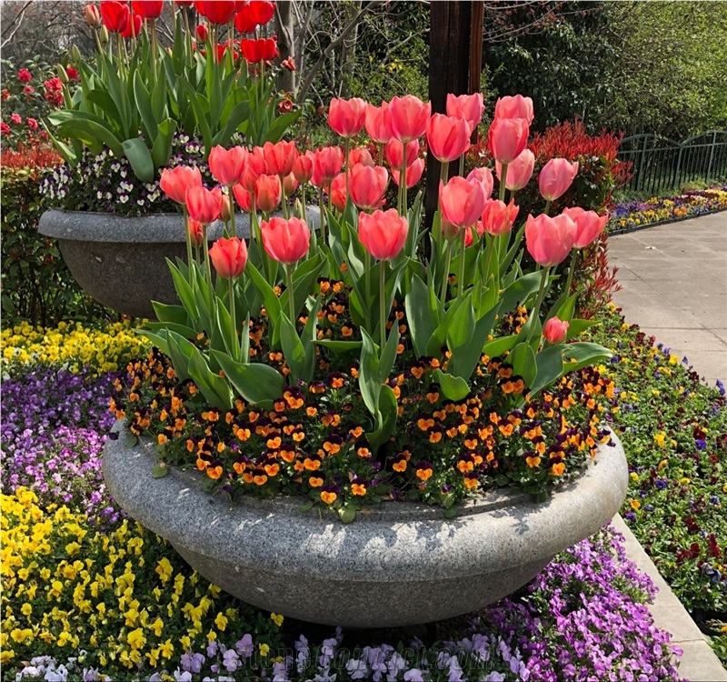 Granite Carved Flower Pot Sapphire Granite Flower Pot