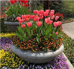 Granite Carved Flower Pot Sapphire Granite Flower Pot