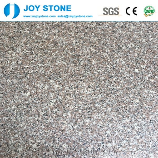 Best Prices Chinese Natural G664 Granite Pink Color 180upx60x2cm Slabs
