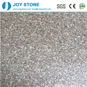 Best Prices Chinese Natural G664 Granite Pink Color 180upx60x2cm Slabs