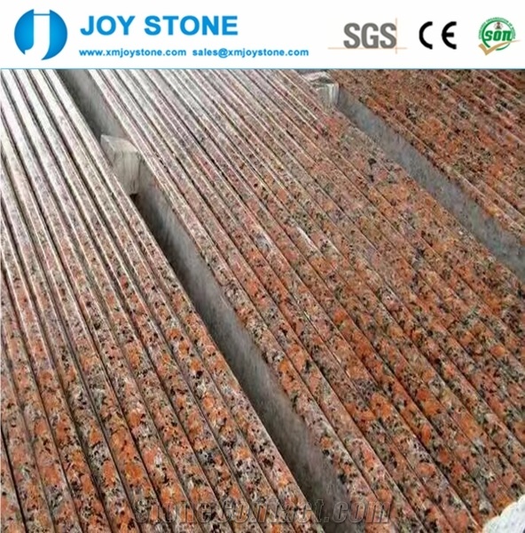 Cheap G562 Maple Red Polish Flame Tiles Slabs Grainte Wholesale Online