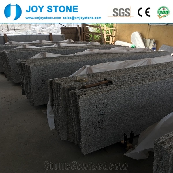 Excllent Quality G664 Granite Violet Luoyuan Polished Rough Edges Slab
