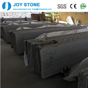 Excllent Quality G664 Granite Violet Luoyuan Polished Rough Edges Slab