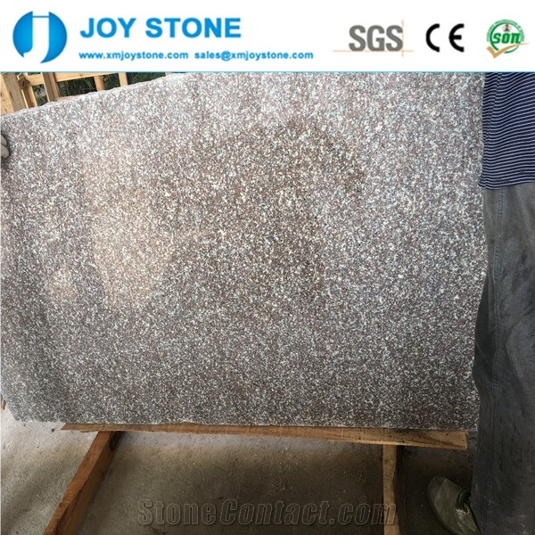 Excllent Quality G664 Granite Violet Luoyuan Polished Rough Edges Slab