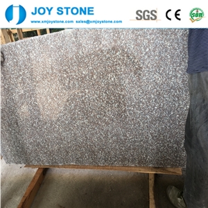 Excllent Quality G664 Granite Violet Luoyuan Polished Rough Edges Slab