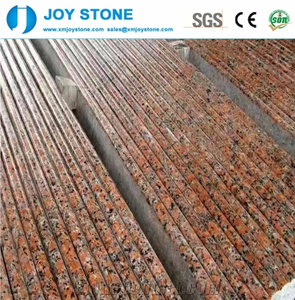 Popular Cheap Maple Red G562 Granites Tiles Slabs Floor Wholesale