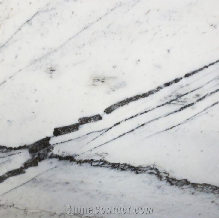 Polar White Marble Venus White Amazon White 20mm Fireplace