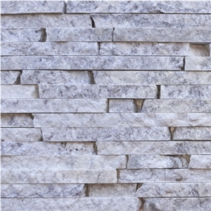 Lssf011 Silver Travertine Mosaic