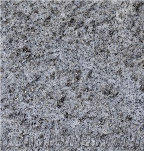 Beola Grigia Gneiss - Beola Grigia Servezzo Gneiss