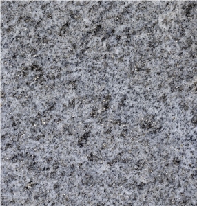 Beola Grigia Gneiss - Beola Grigia Servezzo Gneiss
