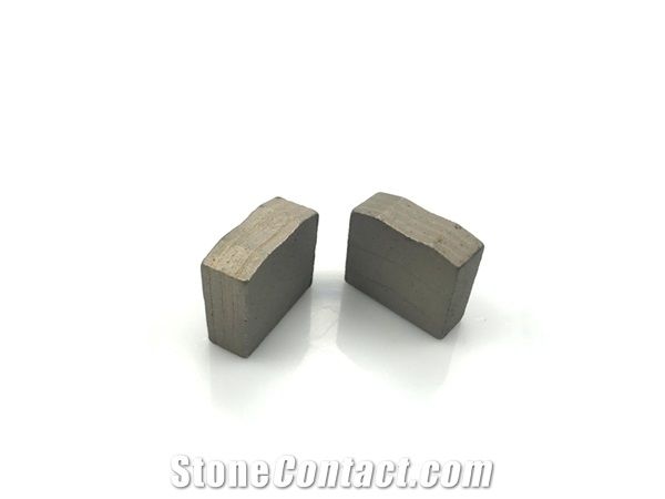 D1600mm Diamond Cutting Segments for Granite