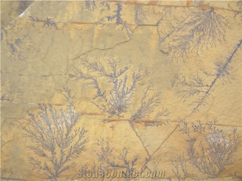 Caramel Natural Stone Brown Walling Tiles