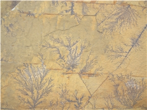 Caramel Natural Stone Brown Walling Tiles