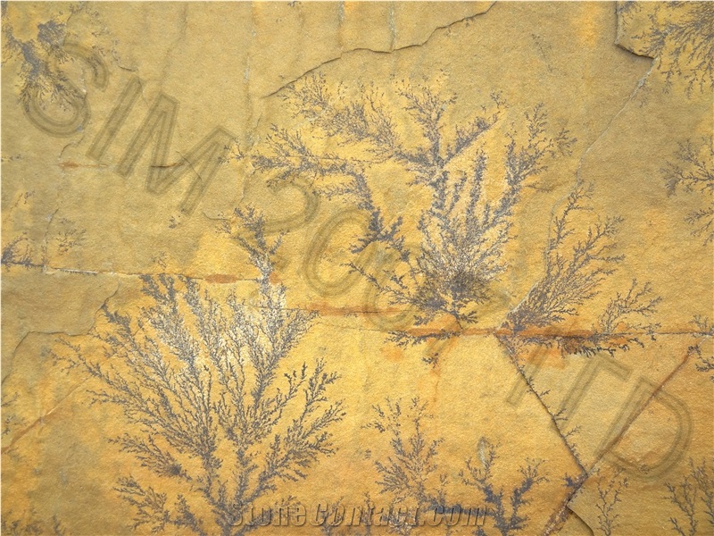 Caramel Natural Stone Brown Walling Tiles