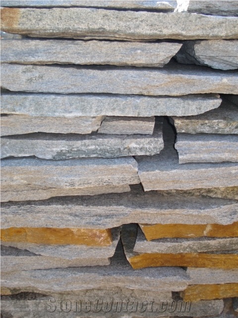 Silver Gneiss