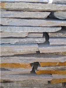 Silver Gneiss