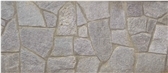 Silver Gneiss