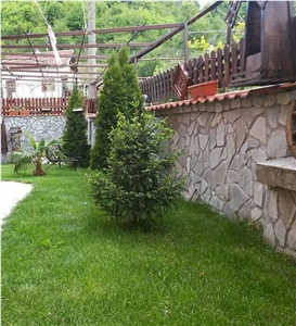 Silver Grey Gneiss Bulgarian Stone