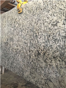 Alaska White Granite Slabs & Tiles, India White Granite