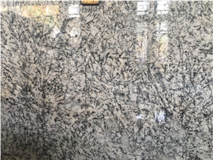 Alaska White Granite Slabs & Tiles, India White Granite