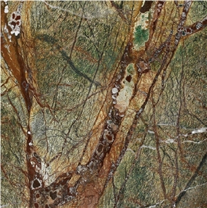 Rain Forest Green / India Marble Tiles & Slabs ,Flooring & Walling