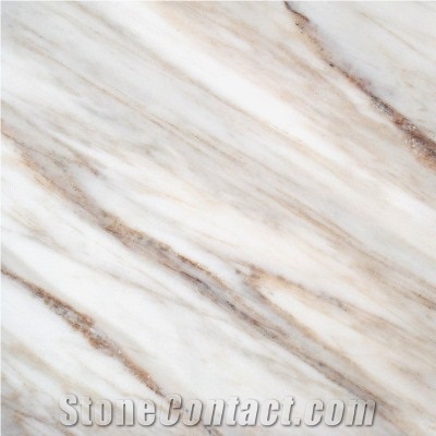 White Wood Marble Slab & Tile,Calacatta White,Serpegiante Grey Marble