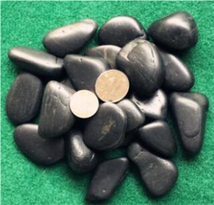 Black River Stone Polished Pebbles