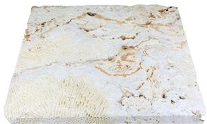 Pacific Pearl Coral Stone Rustic Tile