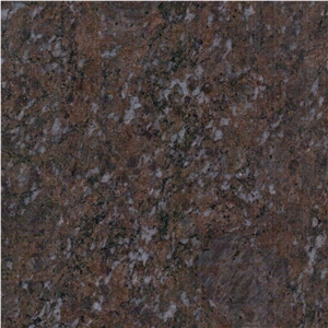 Shengle Brown Granite,Shengle Baltic Brown Granite Shengle Brown Granite,Shengle Baltic Brown Granite