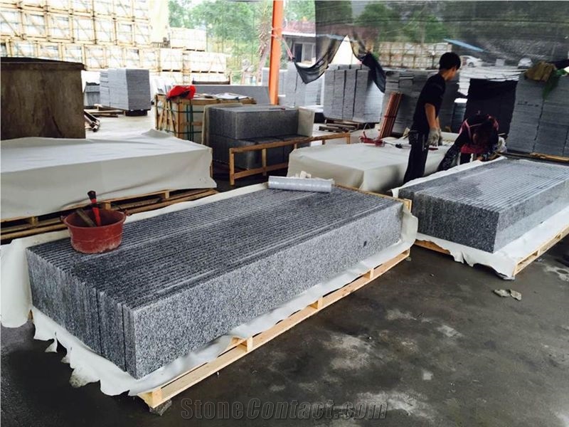 Rosa Beta Grey Granite Stairs/Steps, G623 Light Grey Granite Stairs
