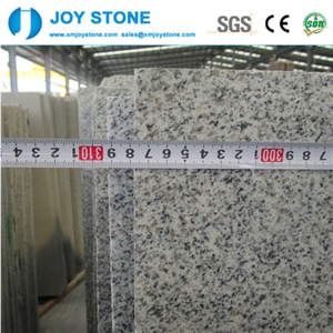 Cheap Price Polished New G603 Granite Padang Crystal 2 cm Big Slabs