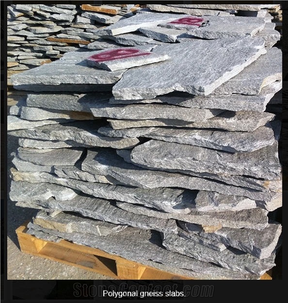 Silver Grey Gneiss Polygonal Slabs