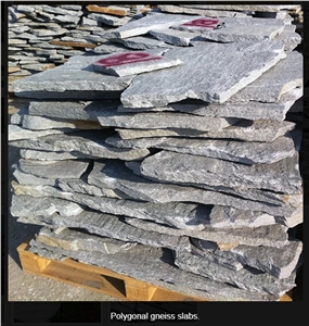 Silver Grey Gneiss Polygonal Slabs