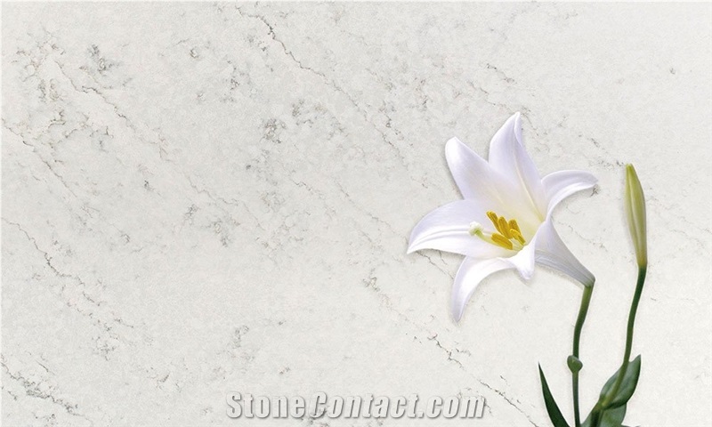 Quartz Master - Organic White Quartz