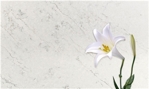 Quartz Master - Organic White Quartz