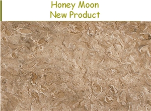 Honey Moon Limestone Tiles, New Product