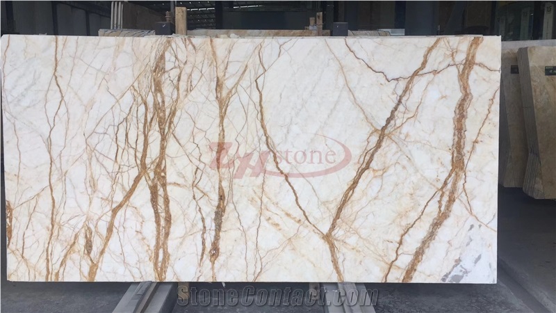 Elazig White Onyx White Onyx with Gold Veins for Background
