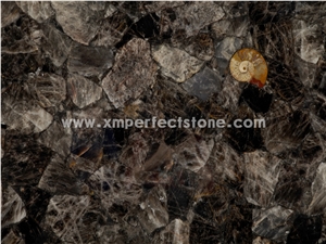 Dark Fossil Semi Precious Stone Panels Gemstone Slabs