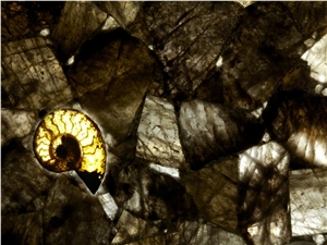 Dark Fossil Semi Precious Stone Panels Gemstone Slabs
