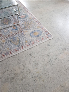 Transylvania Gray Limestone - Coral Selection Transylvania Gray Limestone - Coral Selection