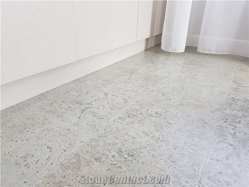 Transylvania Gray Limestone - Coral Selection