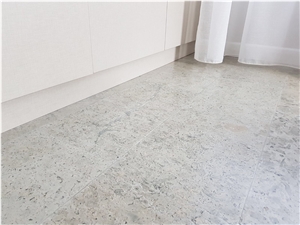 Transylvania Gray Limestone - Coral Selection