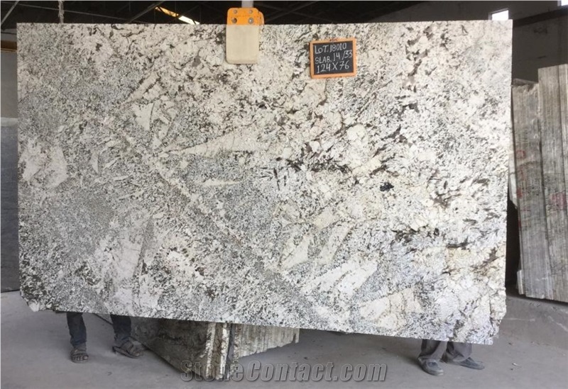 India Alaska White Granite Slabs