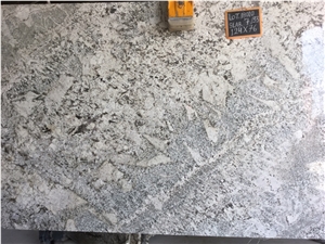 India Alaska White Granite Slabs